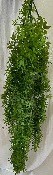 Guirlande végétale calissia