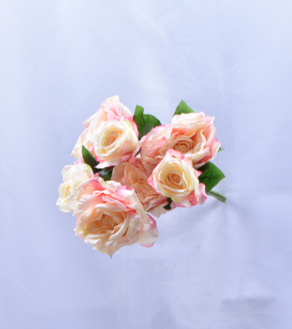 7 Grosses têtes de rose - Blanc & Rose