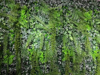 Mur végétal artificiel jungle