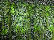 Mur végétal artificiel jungle